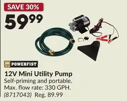 Princess Auto 12V Mini Utility Pump offer
