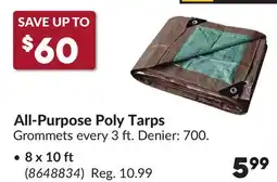 Princess Auto 8 x 10 ft All-Purpose Poly Tarps offer