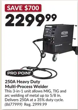 Princess Auto 250A Heavy Duty Multi-Process Welder offer