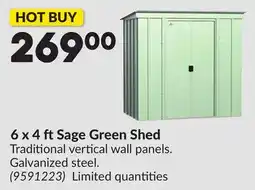 Princess Auto 6 x 4 ft Sage Green Shed offer