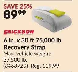Princess Auto 6 in. x 30 ft 75,000 lb Recovery Strap offer