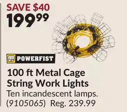 Princess Auto 100 ft Metal Cage String Work Lights offer