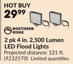 Princess Auto NORTHERN RIDGE 2 pk 4 in. 2,500 Lumen LED Flood Lights offer