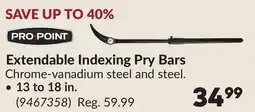 Princess Auto Extendable Indexing Pry Bars offer