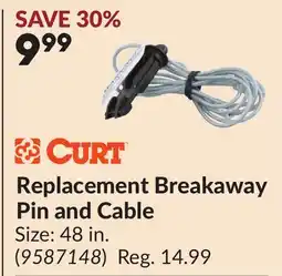 Princess Auto Replacement Breakaway Pin and Cable offer