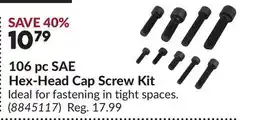 Princess Auto 106 pc SAE Hex-Head Cap Screw Kit offer