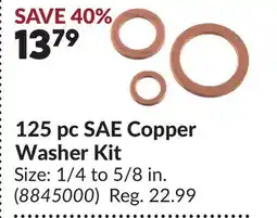 Princess Auto 125 pc SAE Copper Washer Kit offer