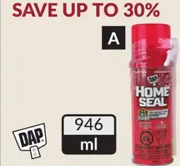 Princess Auto Foam Sealants offer