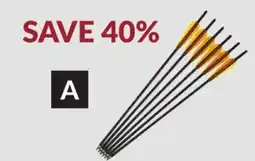 Princess Auto 6 pk 20 in. Crossbow Bolts Aluminum offer