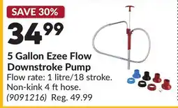 Princess Auto 5 Gallon Ezee Flow Downstroke Pump offer