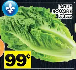 Supermarché PA LAITUE ROMAINE | Lettuce offer