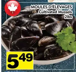 Supermarché PA MOULES D'ÉLEVAGES | Cultivated Mussels offer