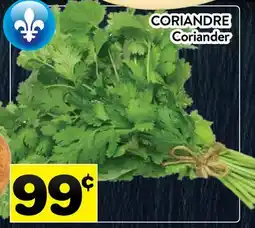 Supermarché PA CORIANDRE | Coriander offer