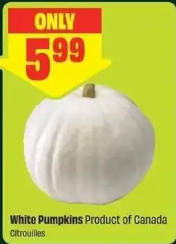 Chalo FreshCo White Pumpkins offer