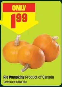 Chalo FreshCo Pie Pumpkins offer