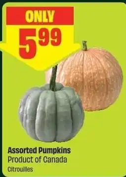 Chalo FreshCo Assorted Pumpkins offer