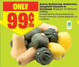 Chalo FreshCo Acorn, Butternut, Spaghetti Squash or Rutabaga offer