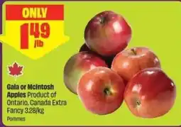 Chalo FreshCo Gala or McIntosh Apples offer