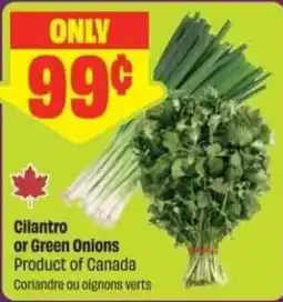Chalo FreshCo Cilantro or Green Onions offer