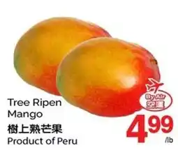 T&T Supermarket Tree Ripen Mango offer