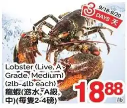 T&T Supermarket Lobster offer