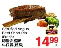 T&T Supermarket Certified Angus Beef Short Rib offer