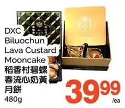 T&T Supermarket DXC Biluo Chun Lava Custard Mooncake offer