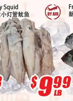 WinCo Food Mart Fried Yu Squid offer