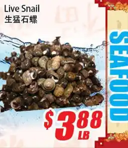WinCo Food Mart Live Snail offer