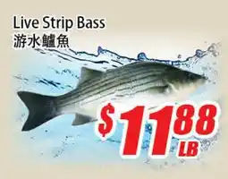 WinCo Food Mart Live Strip Bass offer