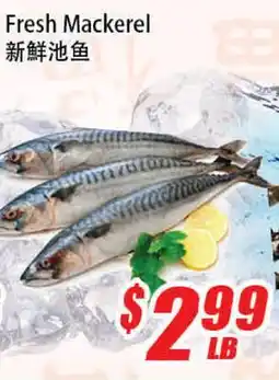 WinCo Food Mart Fresh Mackerel offer