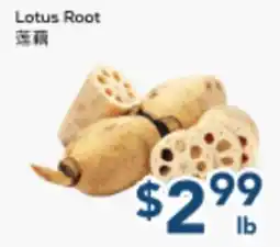 Oceans Fresh Food Market Lotus Root offer