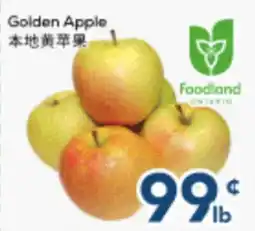 Oceans Fresh Food Market Golden Apple offer
