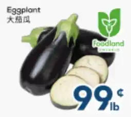 Oceans Fresh Food Market Eggplant offer