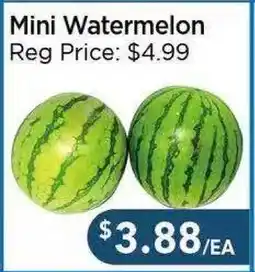 Blue Sky Supermarket Mini Watermelon offer