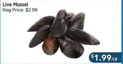 Blue Sky Supermarket Live Mussel offer