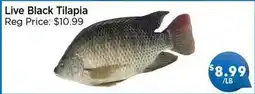 Blue Sky Supermarket Live Black Tilapia offer