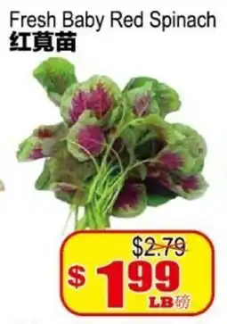 Yuan Ming Supermarket Fresh Baby Red Spinach offer