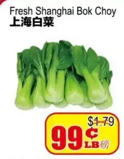 Yuan Ming Supermarket Fresh Shanghai Bok Choy offer