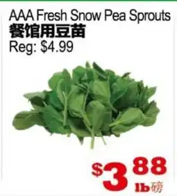 Yuan Ming Supermarket AAA Fresh Snow Pea Sprouts offer