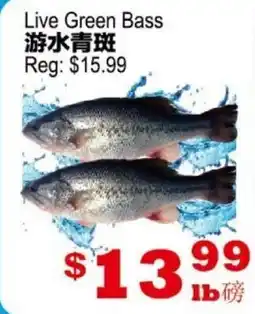 Yuan Ming Supermarket Live Green Bass offer
