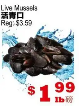 Yuan Ming Supermarket Live Mussels offer