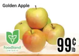 Nations Fresh Foods Golden Apple offer