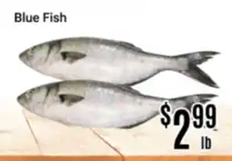 Nations Fresh Foods Blue Fish offer