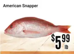 Nations Fresh Foods American Snapper offer