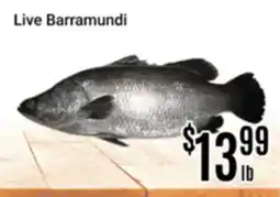 Nations Fresh Foods Live Barramundi offer