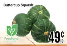 Nations Fresh Foods Buttercup Squash offer
