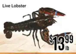Nations Fresh Foods Live Lobster offer