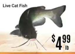 Nations Fresh Foods Live Cat Fish offer