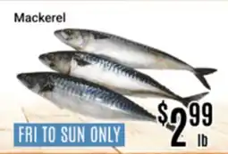 Nations Fresh Foods Mackerel offer